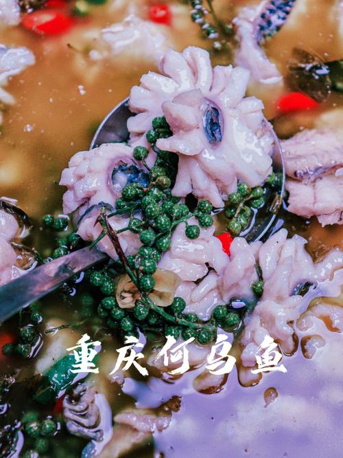 乌鱼古方