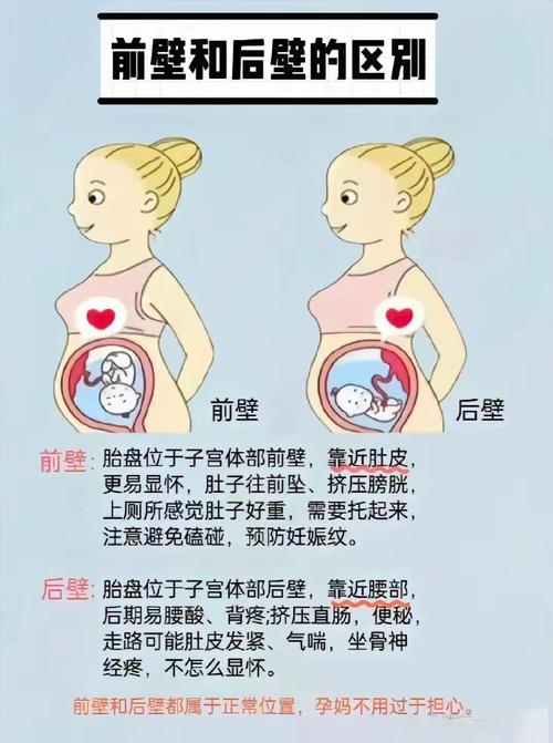 怀孕前