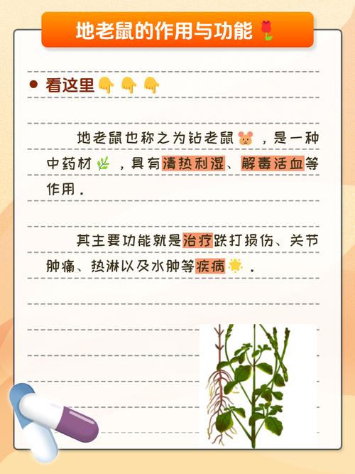 药用价值