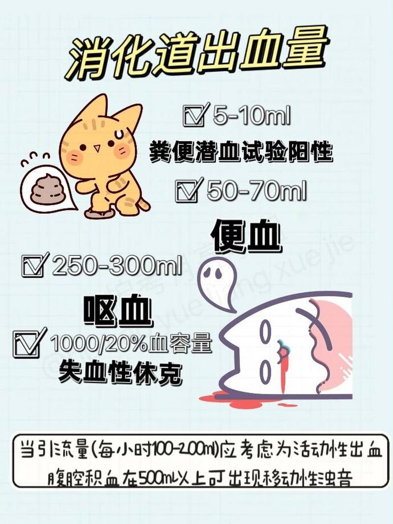 出血量观察