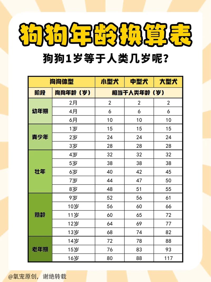  年龄段