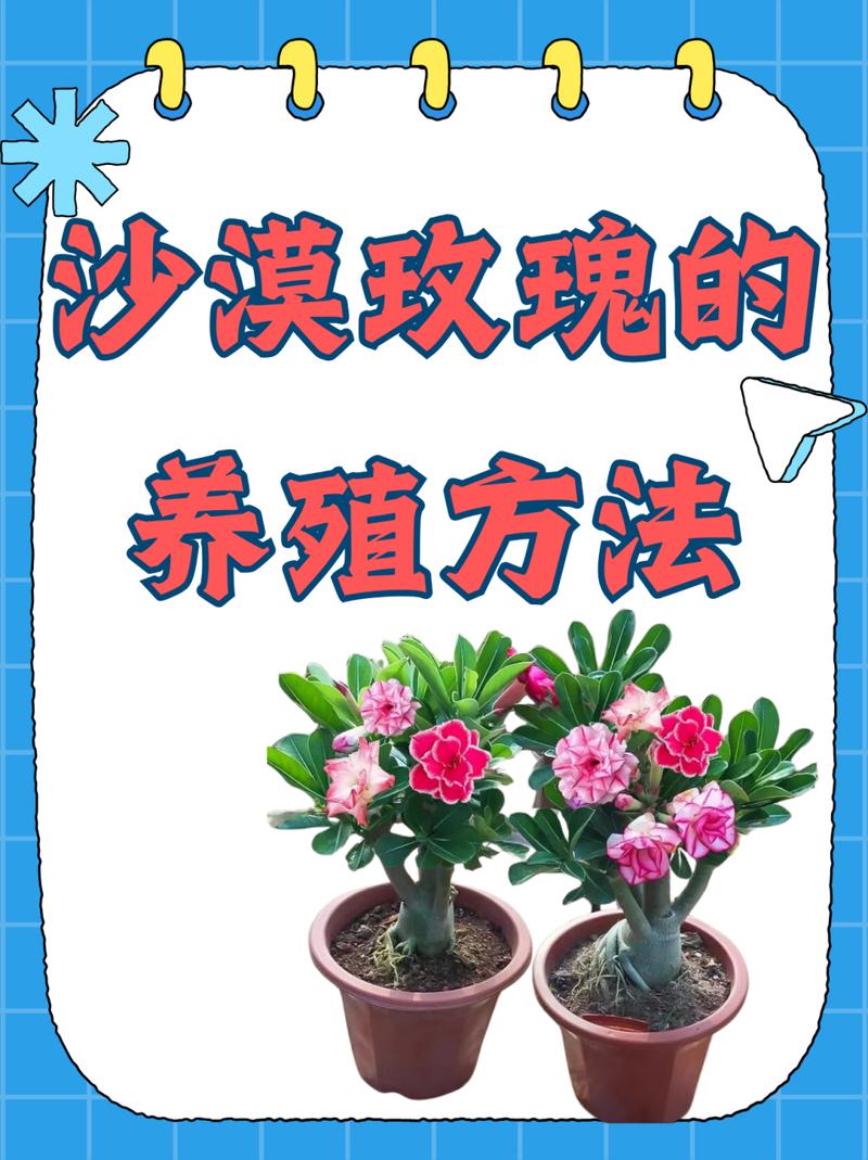 透气妙招