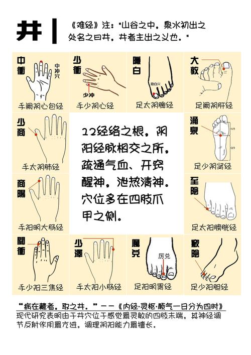 穴位推荐