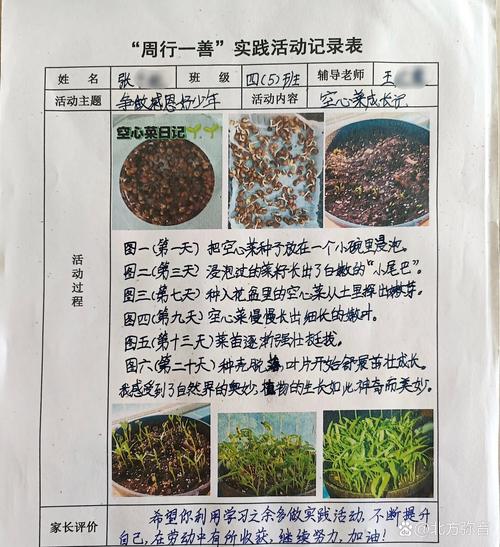 实践方法