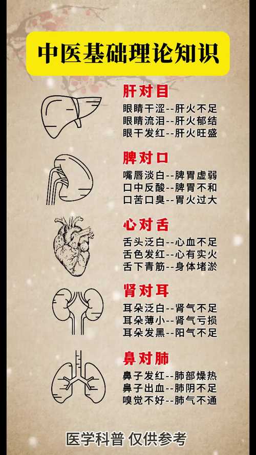 中医理论