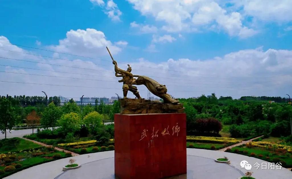 阳谷县