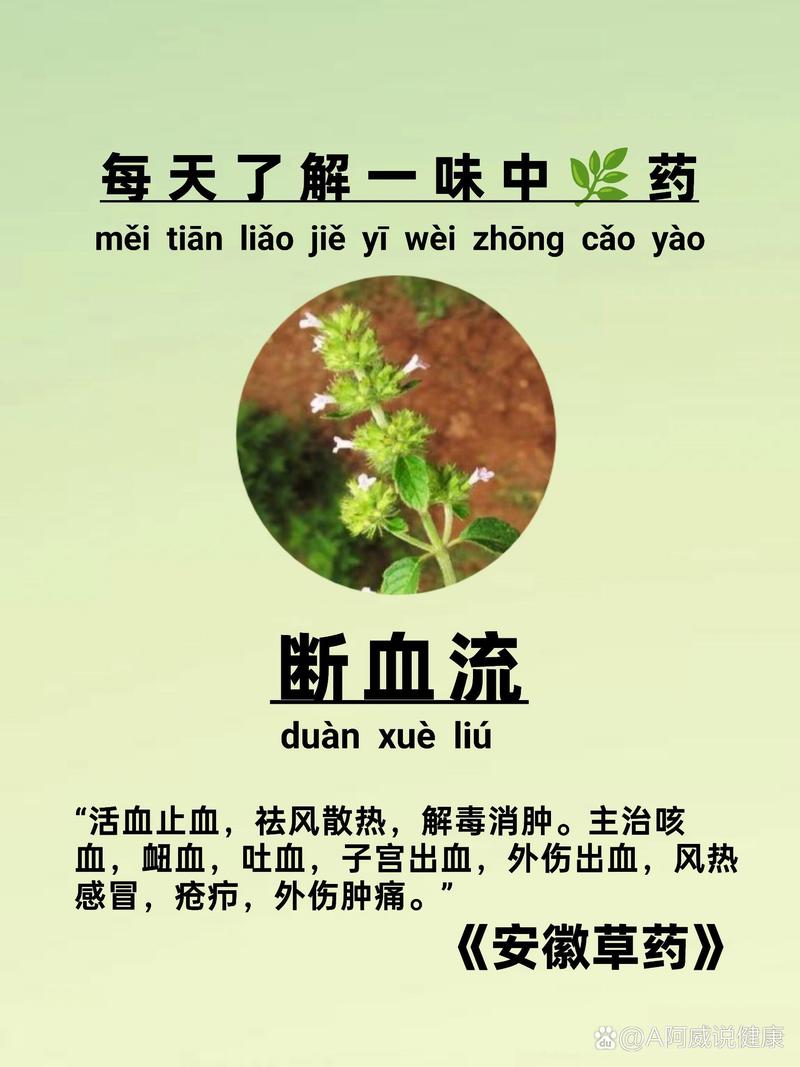 止血收敛