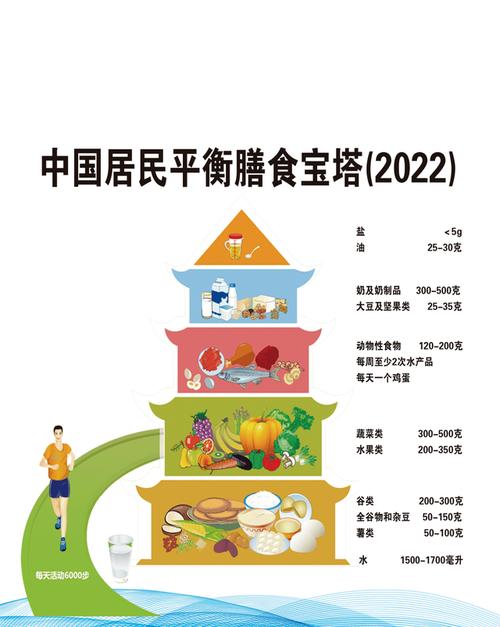 饮食指南