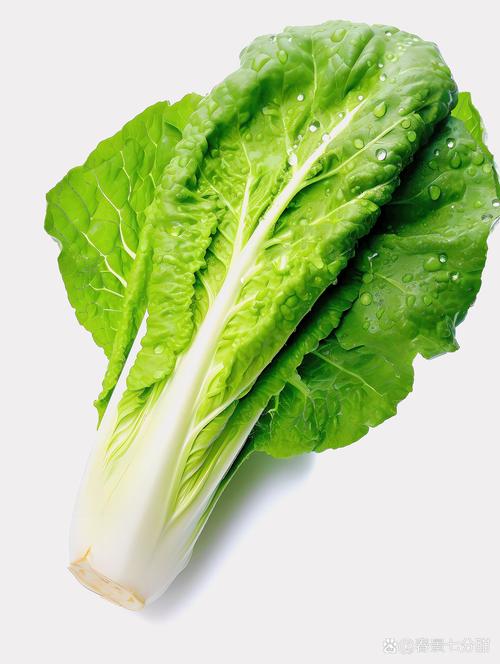 青菜
