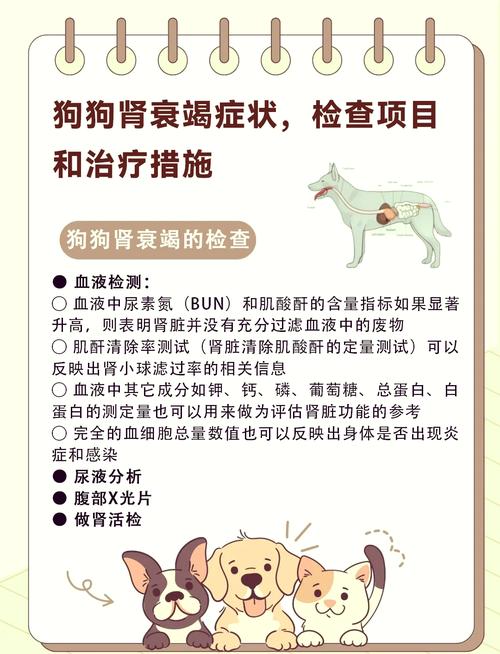 治愈秘诀