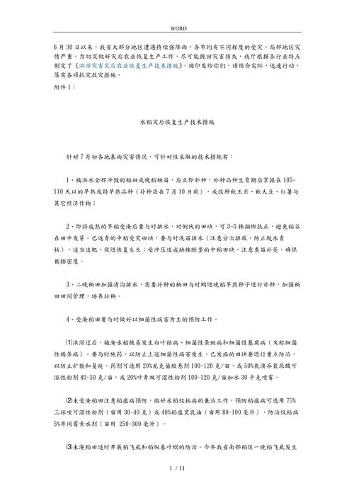 恢复措施