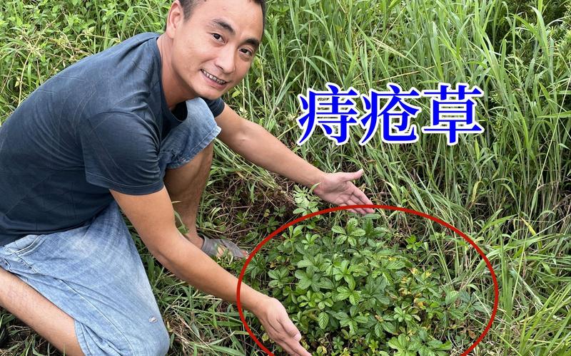 老年人痔疮
