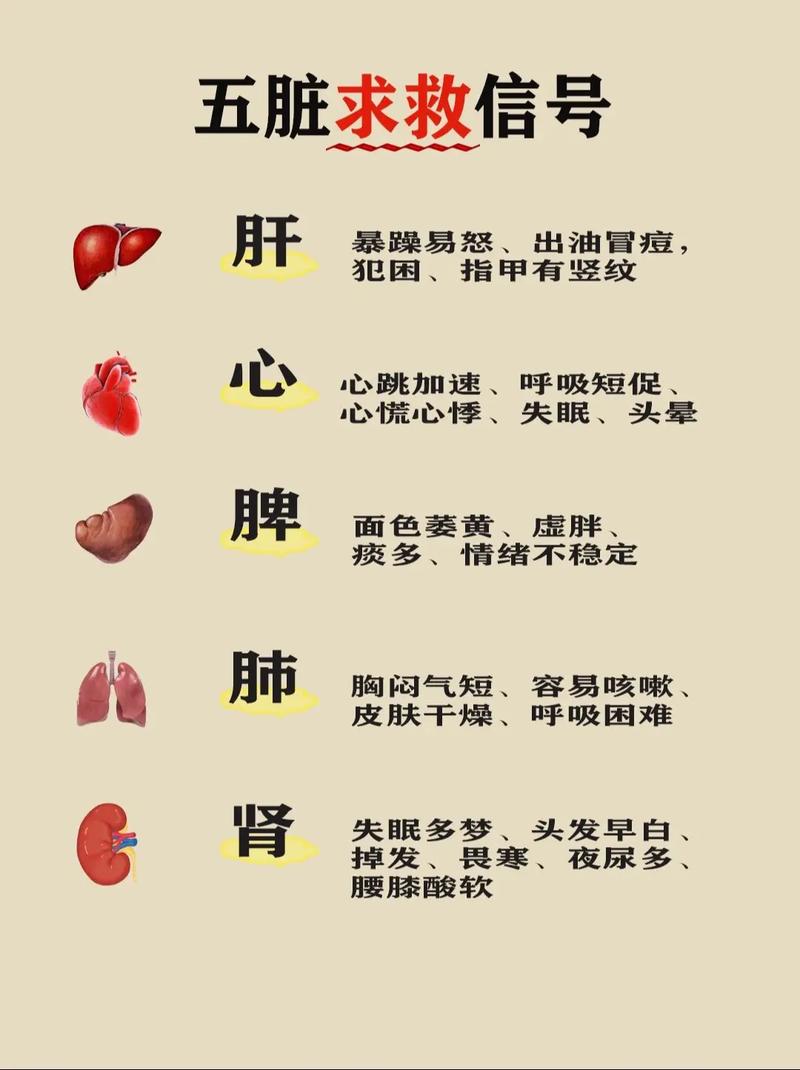 身体信号