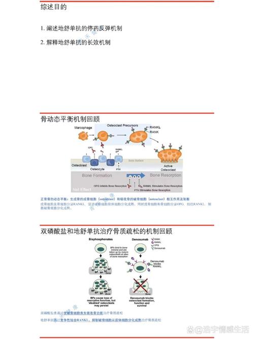 药物风险