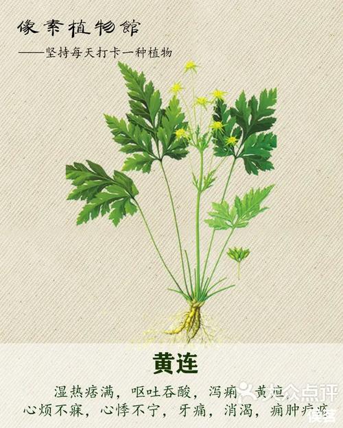 植物良药