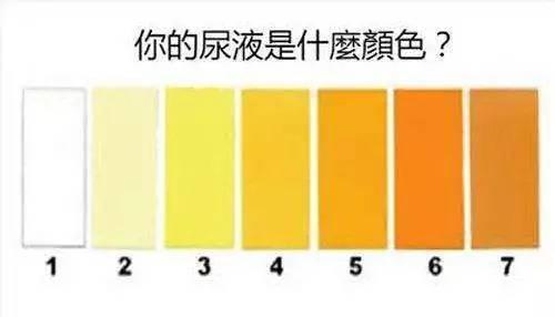 尿液变黄