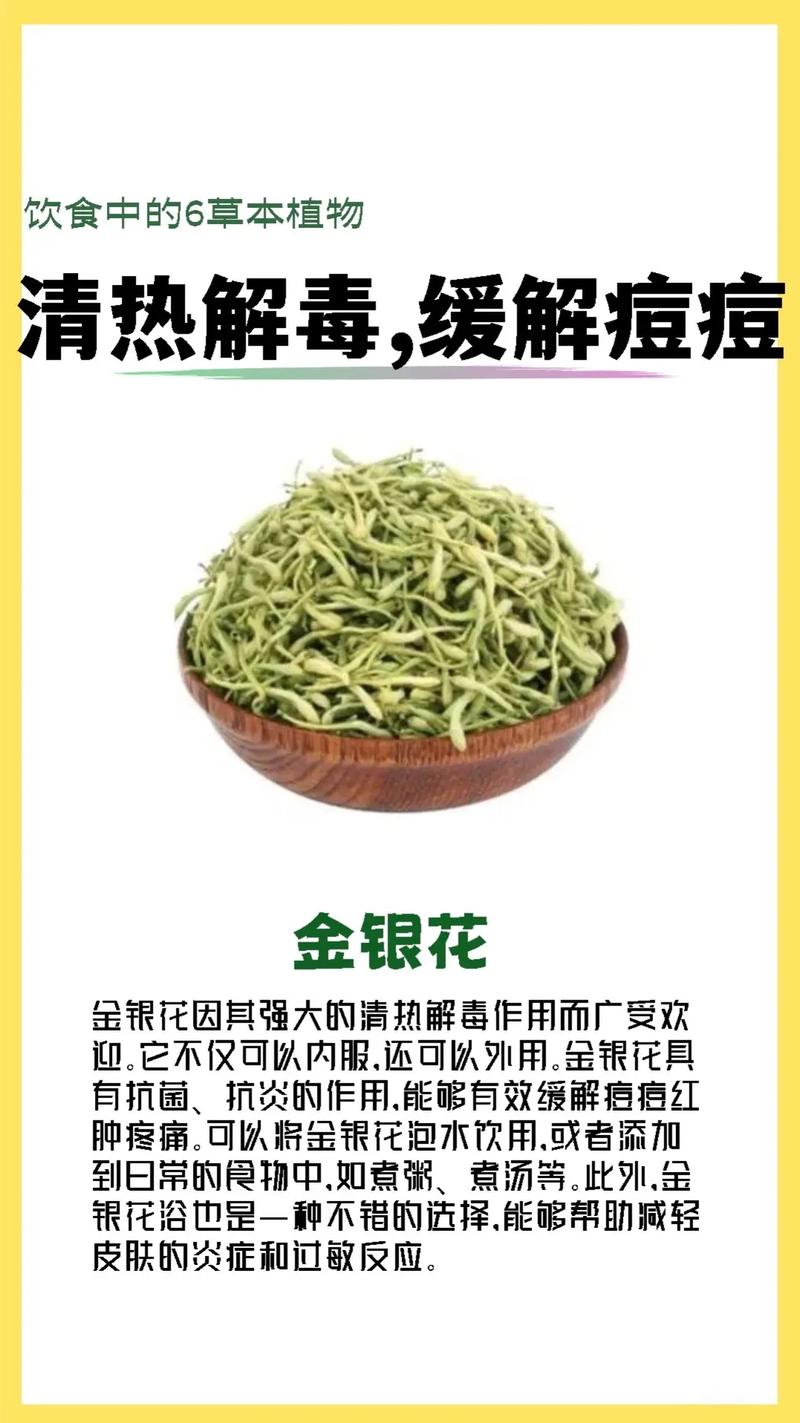  清热解毒