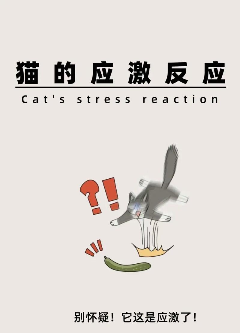 应激反应