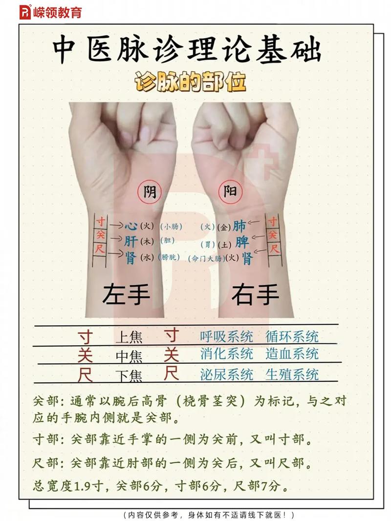 中医诊脉