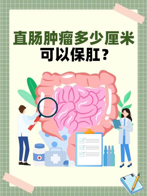 直肠治疗