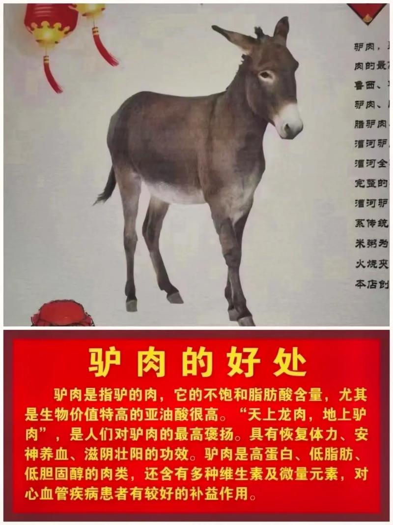驴肉