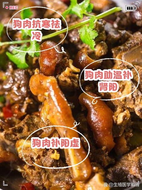 狗肉食用对痔疮患者有疗效吗？