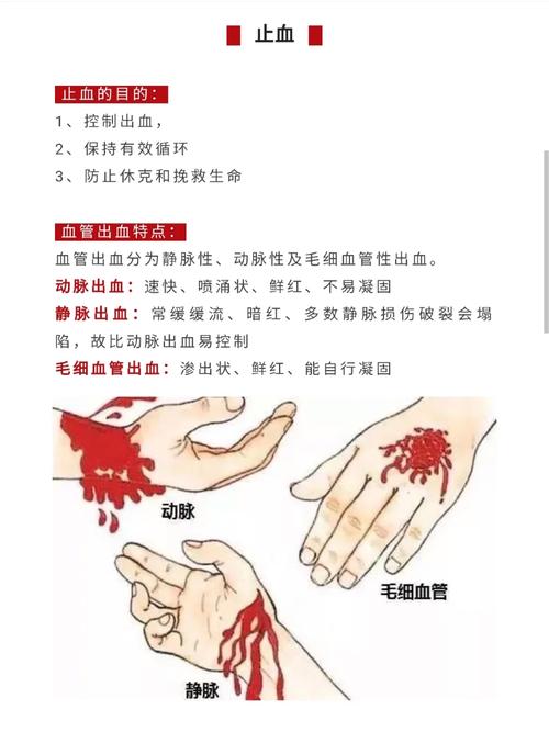 <凉血止血>
