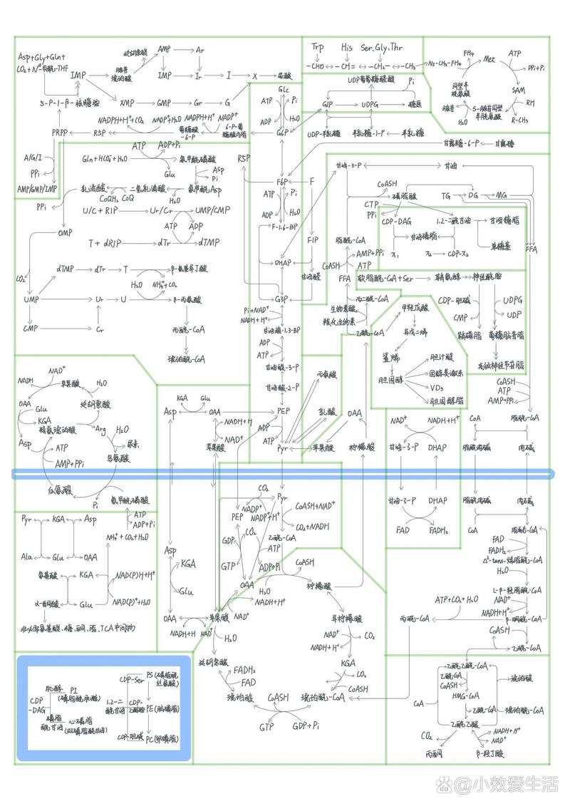 代谢