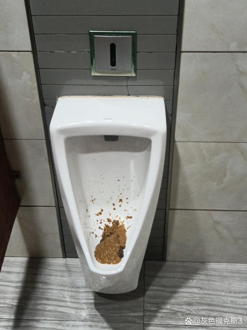 漏屎