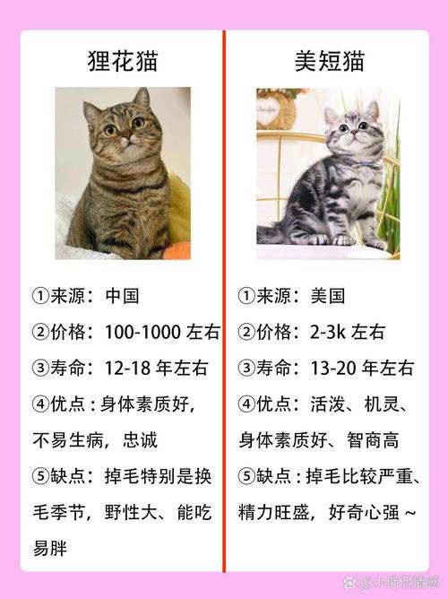 国产对比