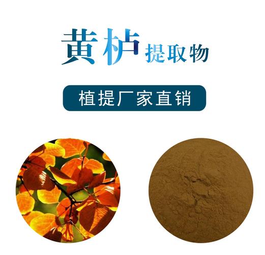 黄栌叶提取物