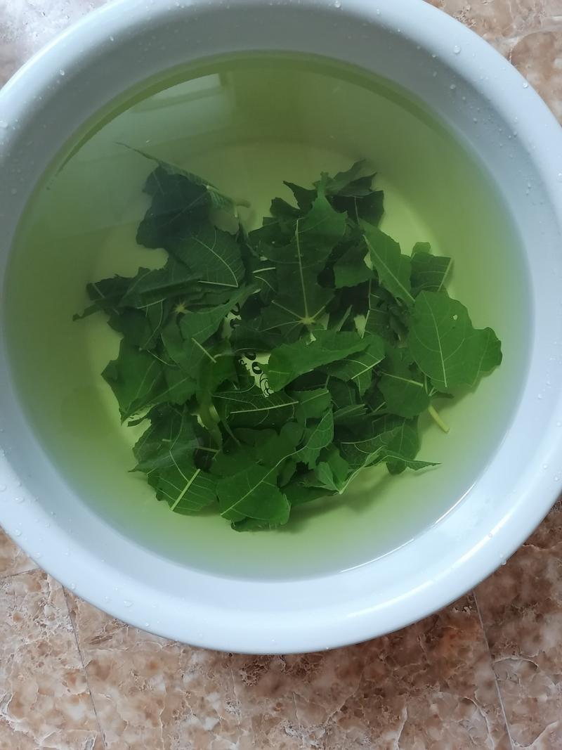 无花果叶煮水坐浴