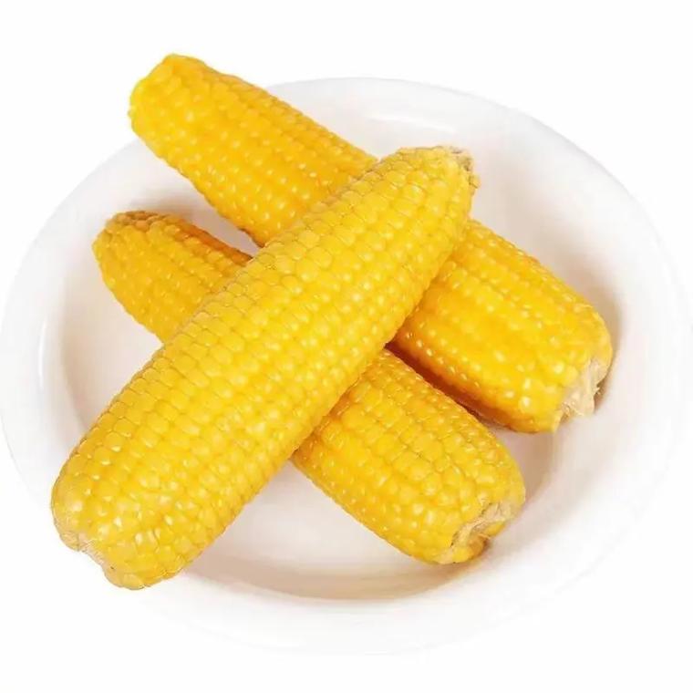 玉米棒