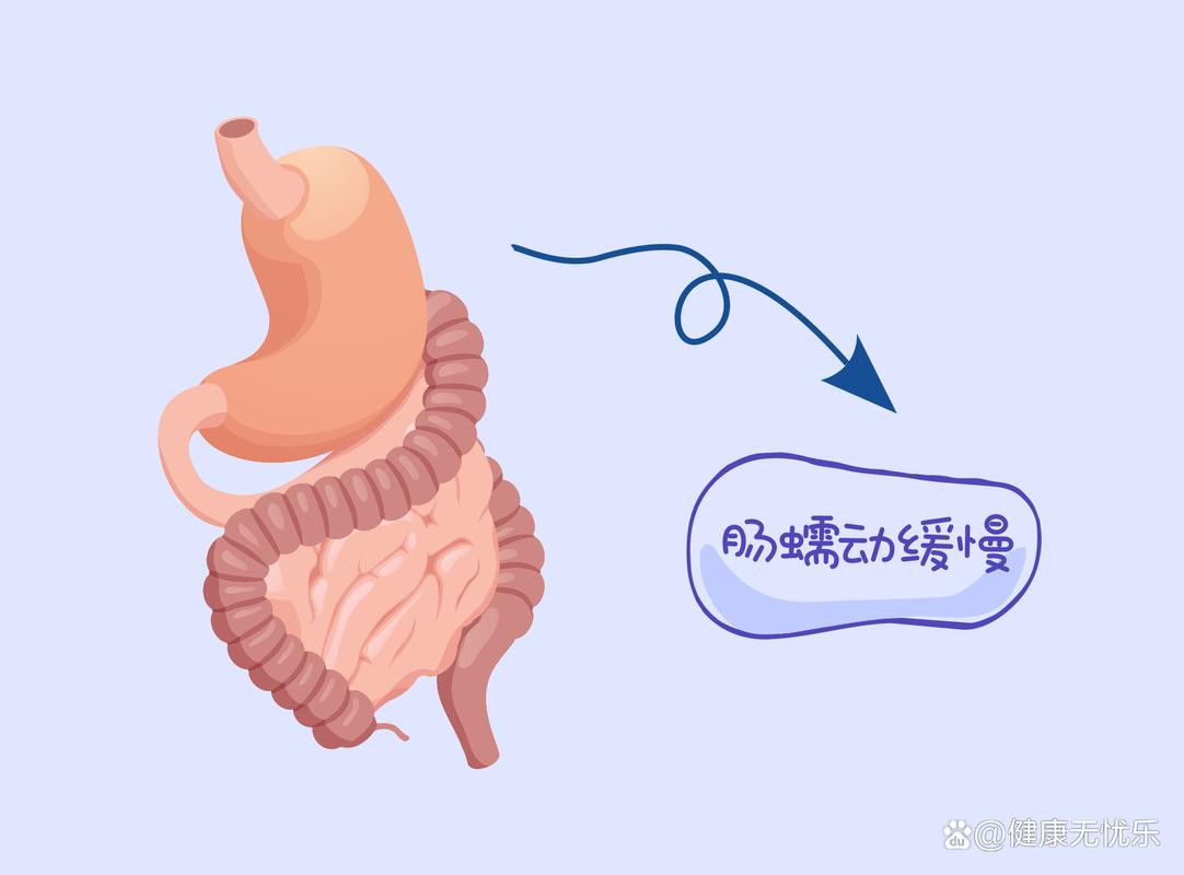 肠道蠕动减慢