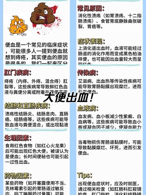 痔疮出血不止