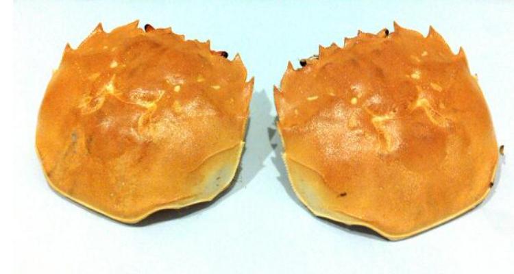 螃蟹壳