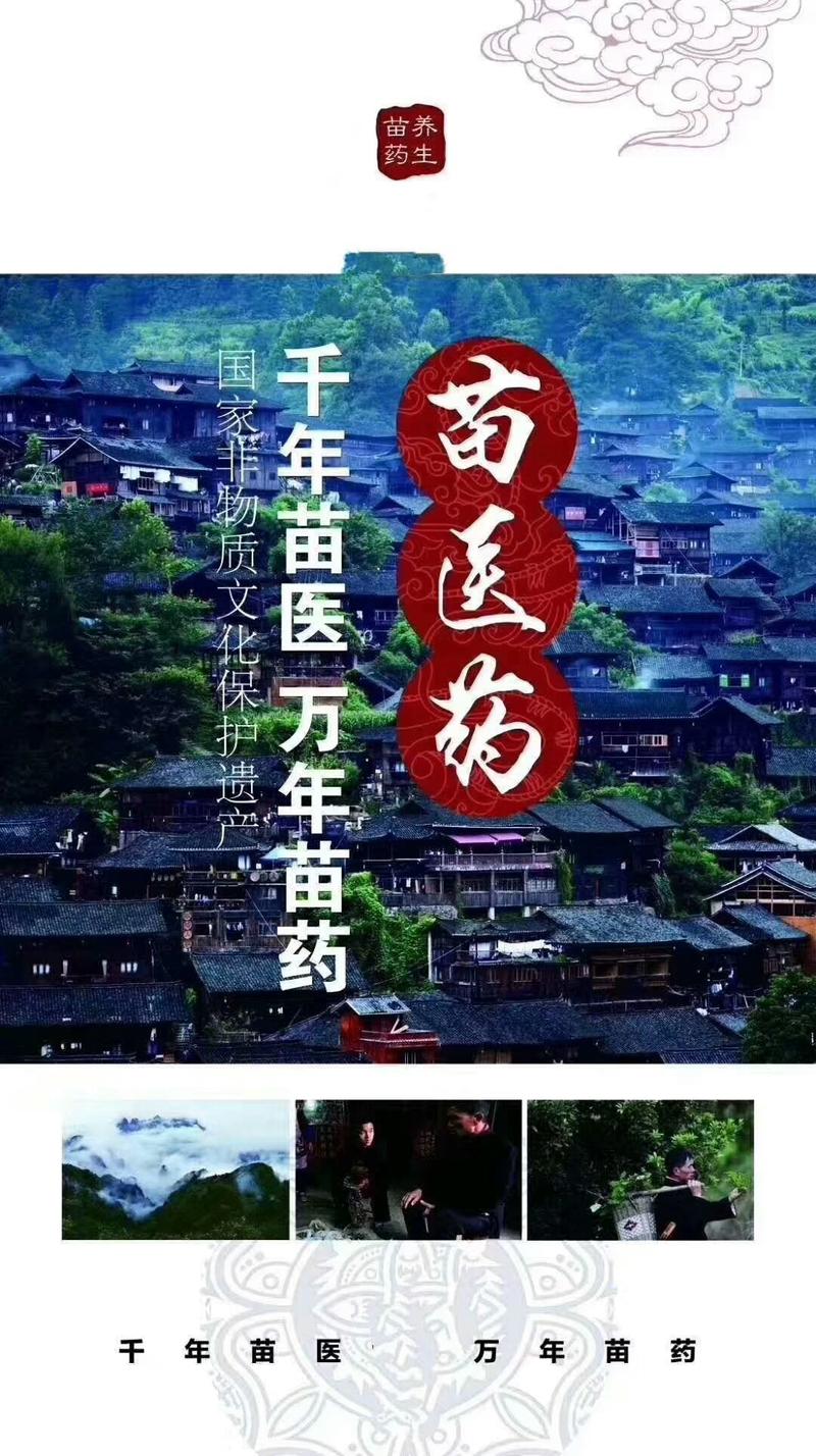 草医传承