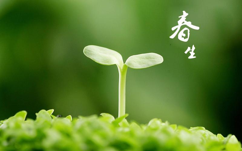 春季