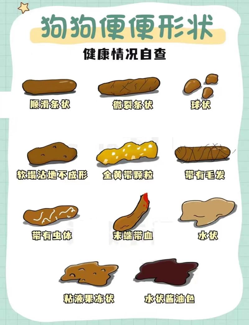 排便情况