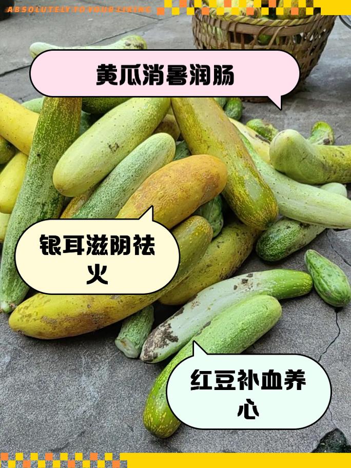 清热凉血食物
