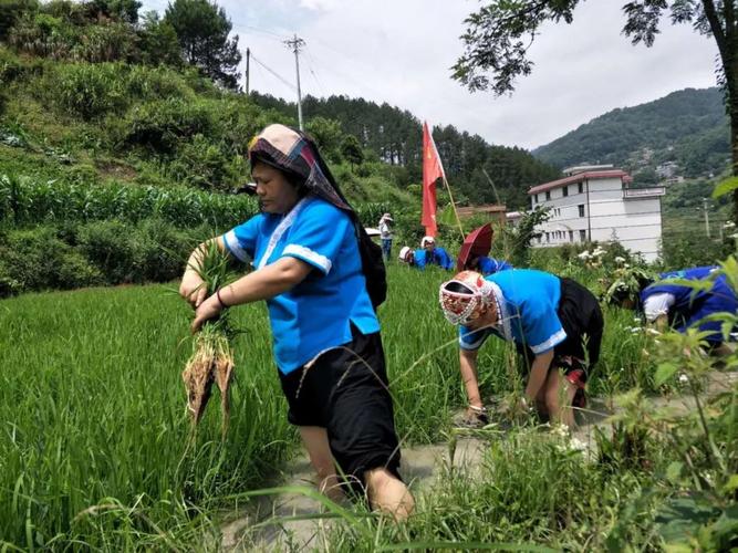 民间实践