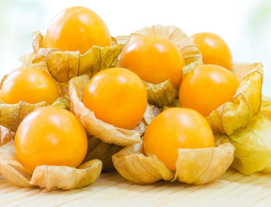 灯笼果