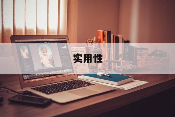 实用性