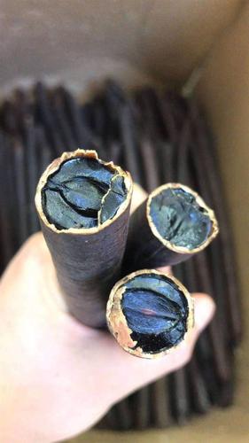 应用
描述: 文章围绕毛冬青在治疗痔疮中的效果与应用展开，介绍了毛冬青的特性、痔疮的危害，阐述其治疗痔疮的原理及多种应用方式，还提及注意事项，强调综合治疗的重要性 。