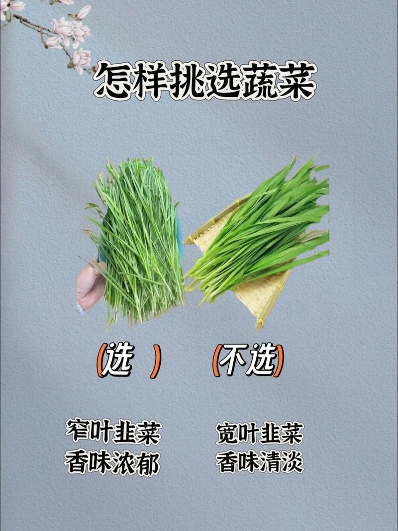 挑选
