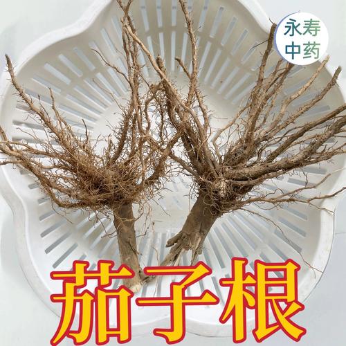 茄子根