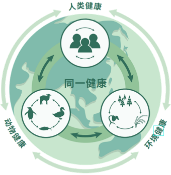 健康关系