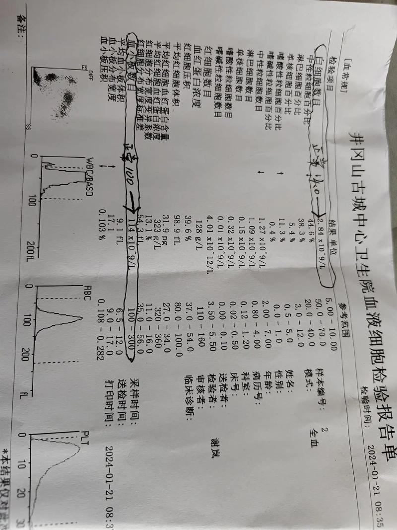 白细胞减少