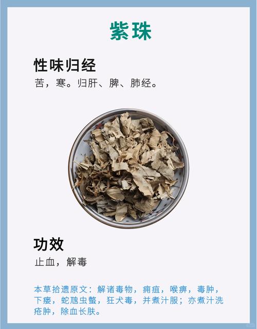 预防
描述: 文章介绍了紫珠草这味中药材，讲述了痔疮的高发性及成因。重点阐述紫珠草对痔疮的功效、使用方法，还分享了预防痔疮的生活建议，为痔疮患者提供了有效的应对之法 。