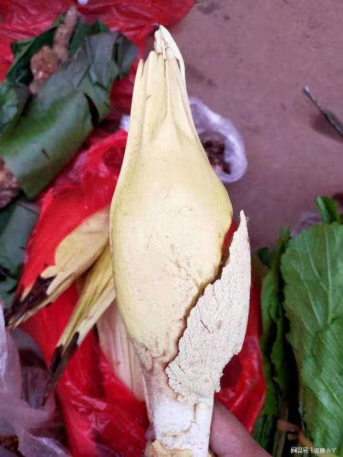 粽花